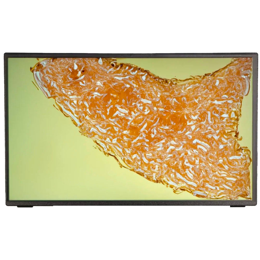 LW Scientific® 13.3" Microscope Camera Display w/HDMI Input, BVP-SCRN-1163