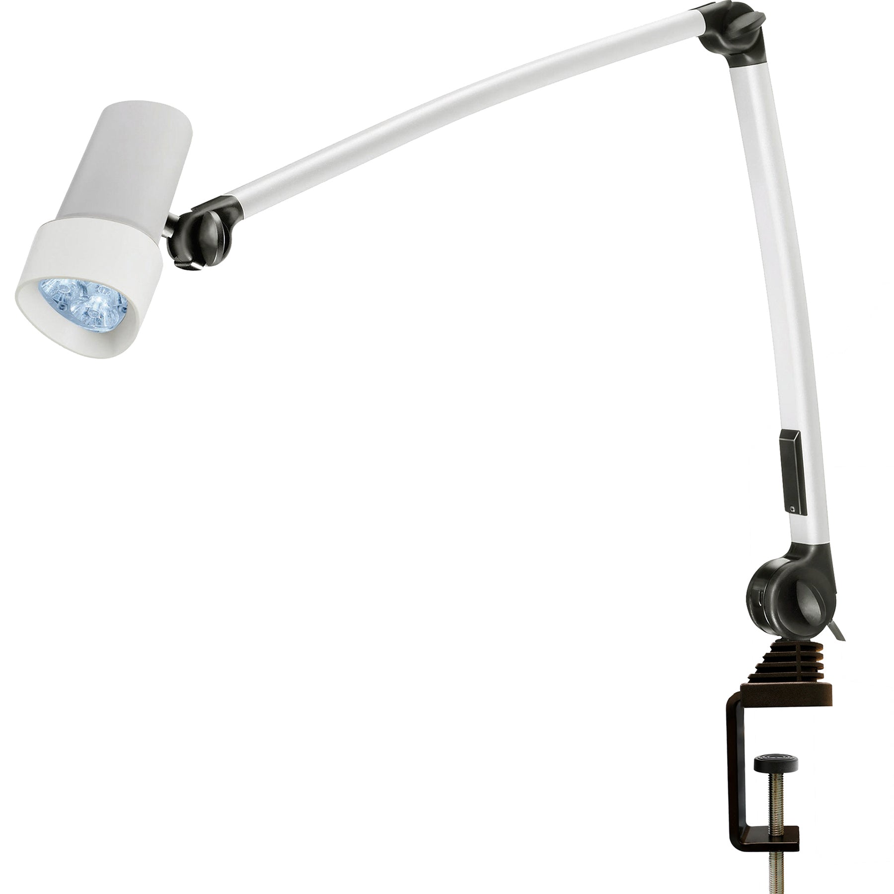 Derungs HALUX® LED N30-1 P F1 Articulating Arm Reading Light w/Clamp, D15994900 - MedLabAmerica.com