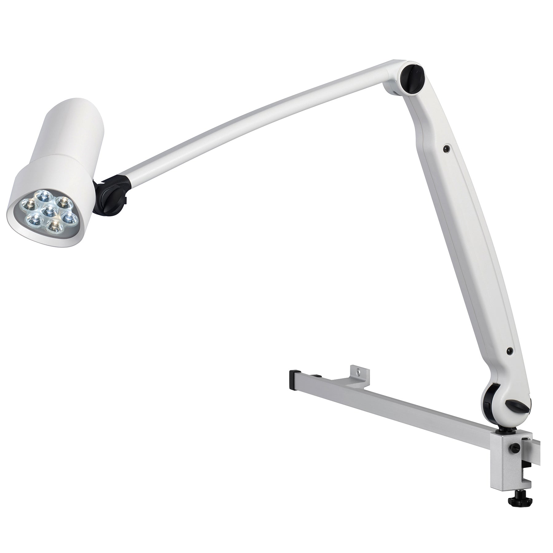 Derungs D16045150 Halux LED N50-1 P FX, Double Arm - Rail Mount