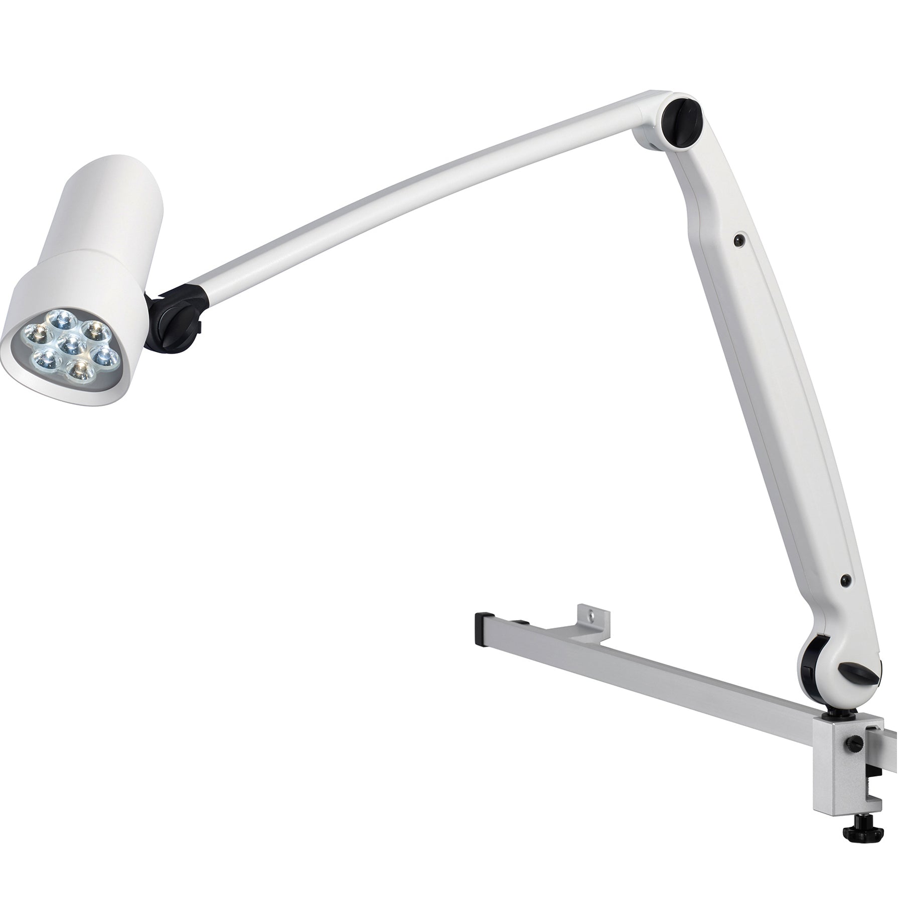 Derungs D16046150 Halux LED N50-3 P FX, Double Arm - Rail Mount