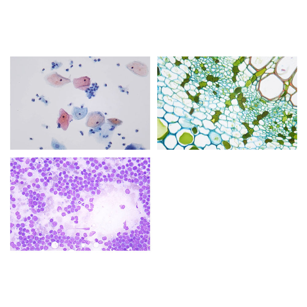 LW Scientific® 40x Magnification Infinity Plan Objective, I4O-040X-IPDR