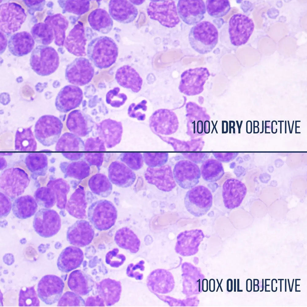 LW Scientific® 100x Magnification Infinity Plan Dry Objective, MSO-100X-IPDR