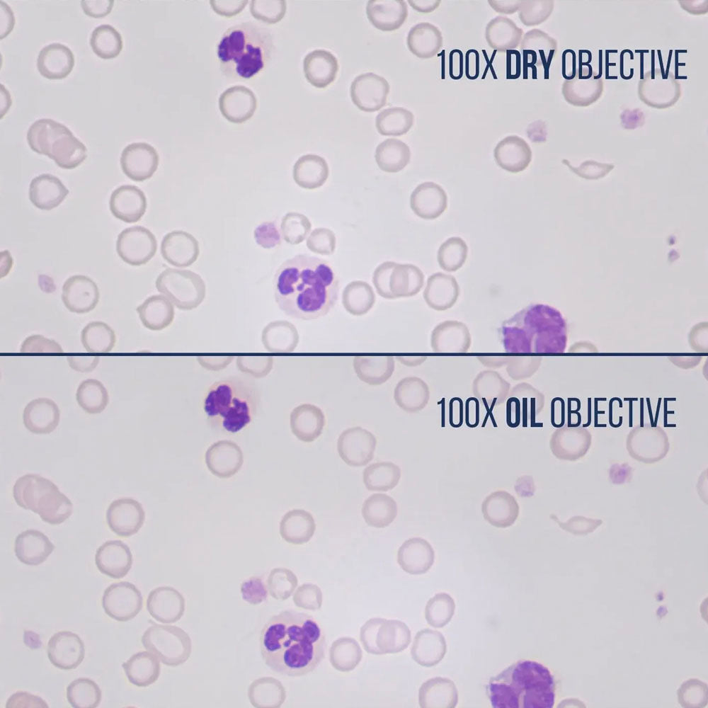 LW Scientific® 100x Magnification Infinity Plan Dry Objective, MSO-100X-IPDR