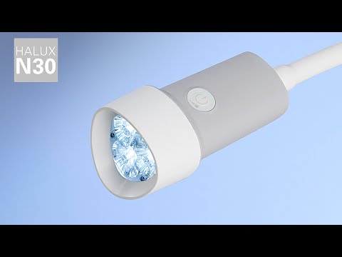 Derungs D15993150 Halux LED N30-1 P SGH, Gooseneck - Rail Mount