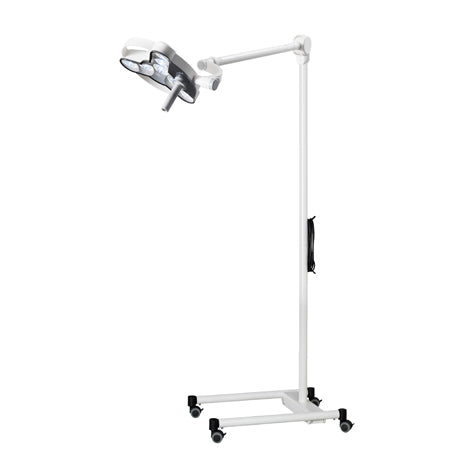 Derungs TRIANGO® 80-1 F Procedure Light, Floor Model, D16135000