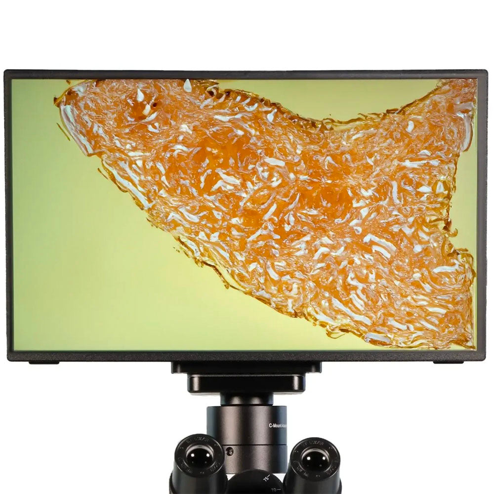 LW Scientific BVP-SCRN-1163 Microscope Camera Display
