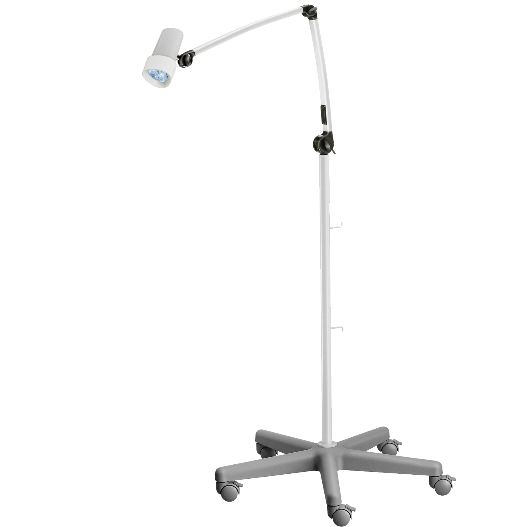 Derungs D15994910 Halux LED N30-1 P F1, Reading, Double Arm - Floor Stand