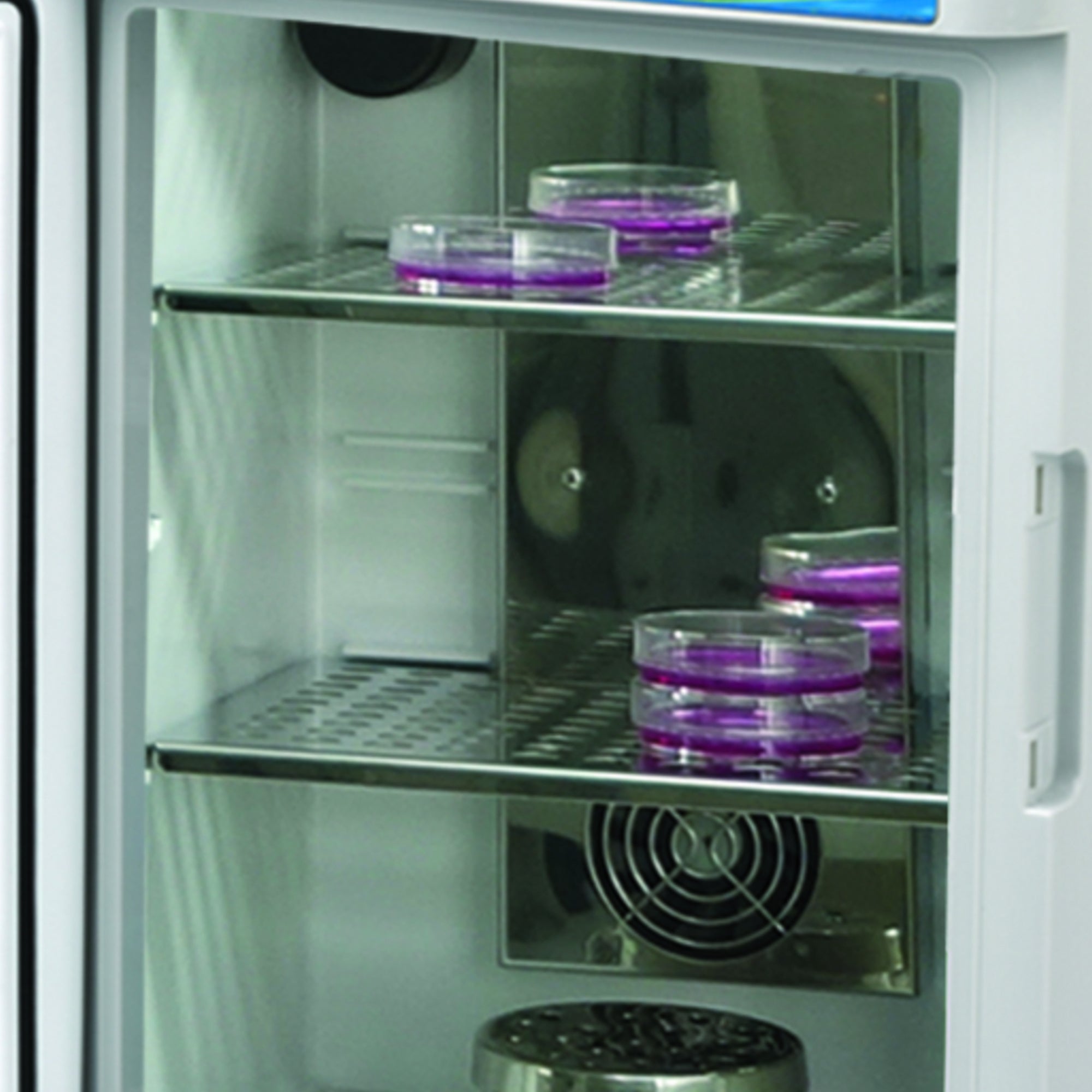 Benchmark Scientific MyTemp Mini CO2 incubator H2300-HC2