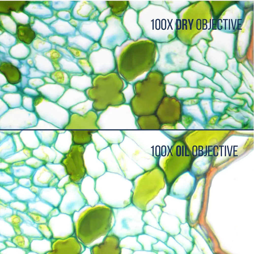 LW Scientific® 100x Magnification Infinity Plan Dry Objective, MSO-100X-IPDR