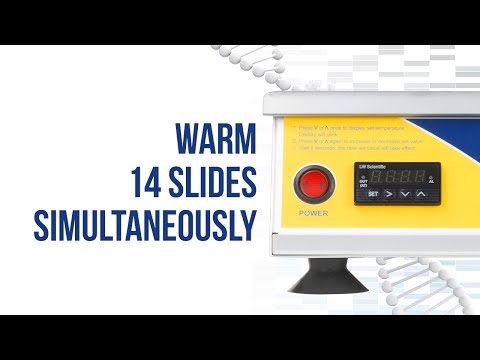LW Scientific® SWL-14PL-77DP Slide Warmer